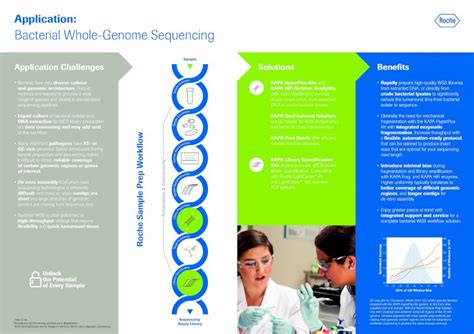 PDF Bacterial Whole Genome Sequencing Infographic De Novo