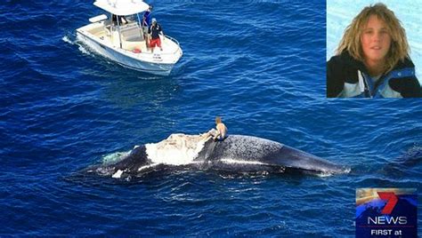 Fauna Urbana Villa Mar A Juega Con El Cad Ver De Una Ballena Y Termina