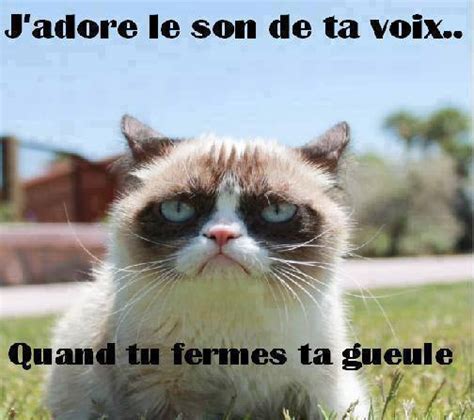 Image Drole Du Jour Pour Facebook Dlhumourd
