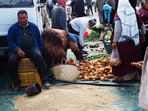 Tunisia : Markets | Everchanging Perspective