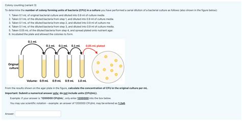 Solved Colony Counting Variant 3 To Determine The Number