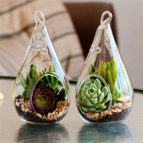 3pcs Glass Hanging Vase Succulent Planter Flower Teardrop Terrarium Container Us Ebay