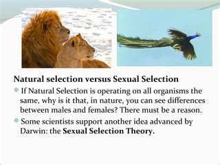 Evolution And Sex PPS