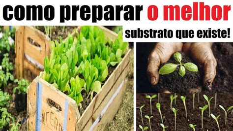 Como Preparar O Melhor Substrato Para Plantar Veja O Resultado YouTube