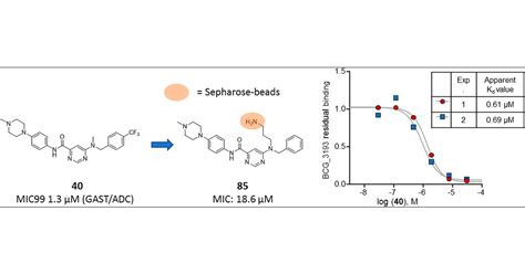 Novel Antitubercular 6 Dialkylaminopyrimidine Carboxamides From