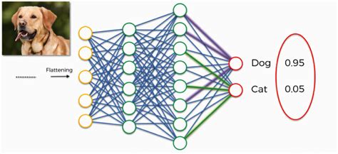 Convolutional Neural Networks (CNN): Softmax & Cross-Entropy - Blogs - SuperDataScience ...