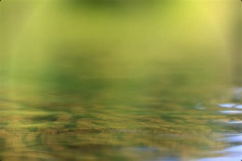 Agua Verde Eco Fondo Abstracto Foto Premium