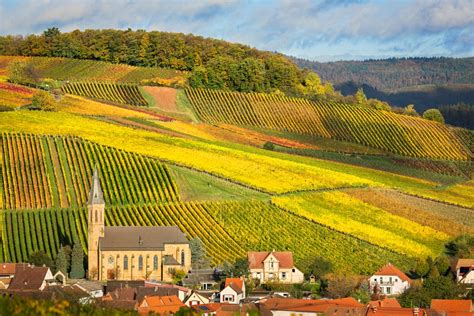 Pfalz Wine Region Germany Winetourism