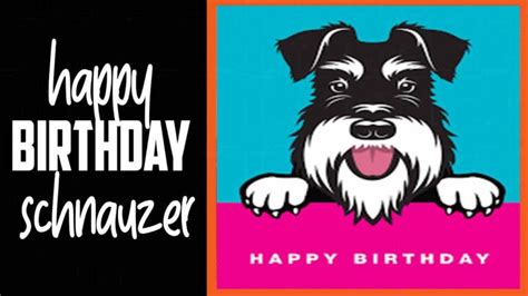 Happy Birthday Schnauzer