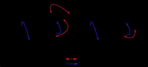 Figure S1 Noe And Hmbc Data Of 6β And 6α Download Scientific Diagram