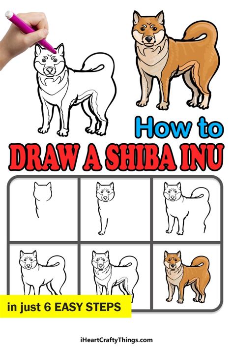 Shiba Inu Drawing How To Draw A Shiba Inu Step By Step