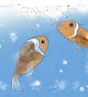 How To Breed Fish Steps With Pictures Wikihow