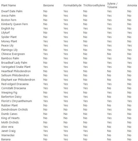 NASA recommended houseplants based on NASA Clean Air Study