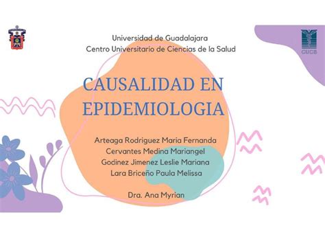 Mapa Causalidad En Epidemiolog A Mariangel Cervantes Udocz