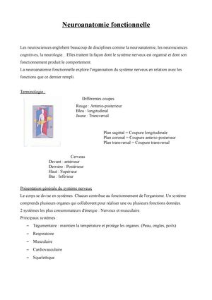 Neuroanatomie Fonctionnelle 7 Tact Protopathique Tact Grossier