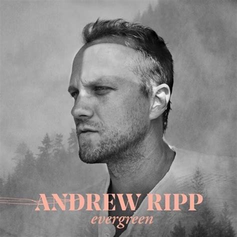 Andrew Ripp Roses Lyrics Genius Lyrics