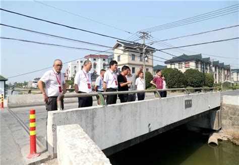 护航水清景美！党湾镇人大开展民生实事项目督查活动