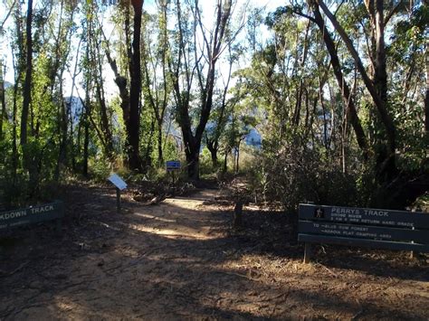 Victoria Falls Lookout To Blue Gum Forest Walking Track