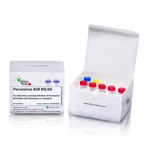 Parvovirus B Detection And Quantitation Kit Novingene