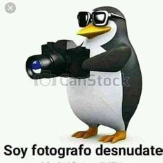 Momos Pinguino Grosero Spanish Humor Funny Relatable Memes Todo