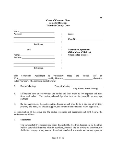 Sample Divorce Documents