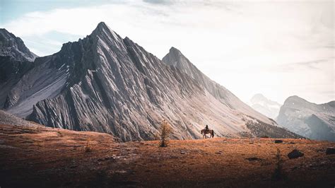 Banff Trail Riders - Commercial Work | Norris Niman Photography