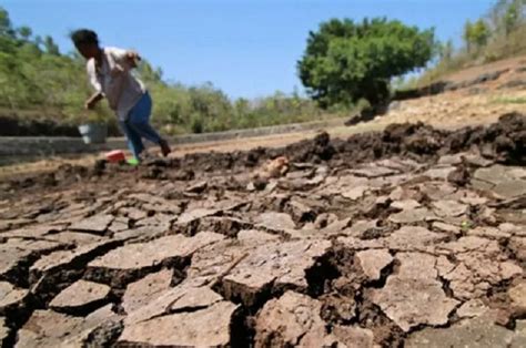 El Nino Dan Potensi Badai Karhutla