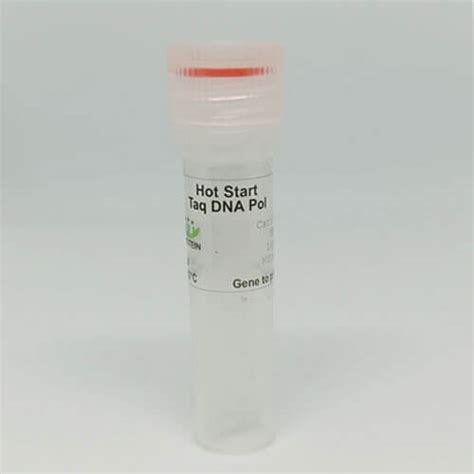 Hot Start Taq Dna Polymerase Genetoprotein