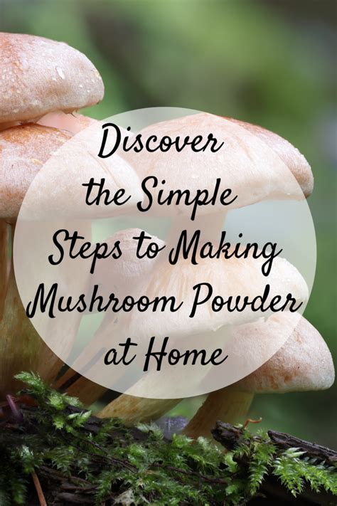 Discover The Simple Steps To Making Mushroom Powder At Home Mom And More