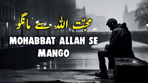 Mohabbat Allah Se Mango Beautiful Spiritual Quotes Listen The Islam