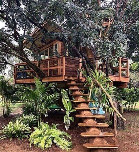 Casa na Árvore 63 Projetos Fantásticos Para Você Se Inspirar