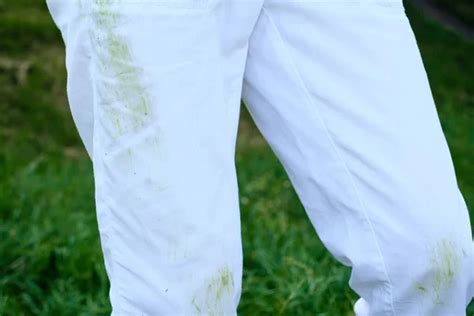 Dirty Grass Stains On Casual Clothes Daily Life Dirty Stain For Wash