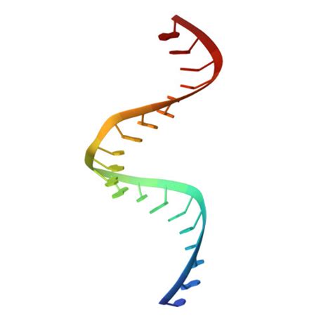 Rcsb Pdb Vrd Crystal Structure Of Rnase H Rna Ps Aso Complex At An