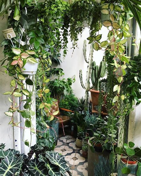 Beautiful Indoor Jungle Ideas 70 In 2020 Indoor Plants Indoor Garden