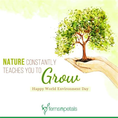 80+ World Environment Day Wishes: Quotes & Images - FNP