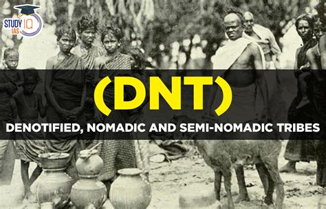 Denotified Nomadic And Semi Nomadic Tribes Dnt