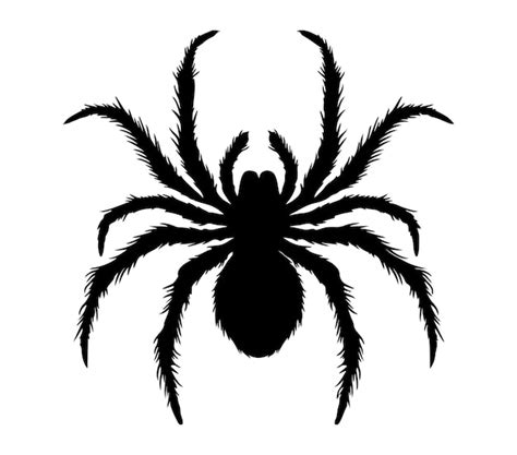 Vector De Silhueta De Aranha Preta Em Fundo Branco Vetor Premium