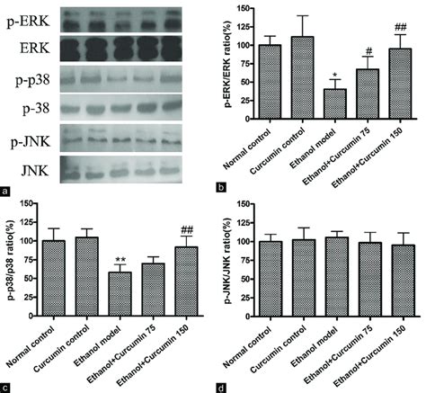 Effects Of Curcumin On The Phosphorylation Of Mitogen Activated Protein