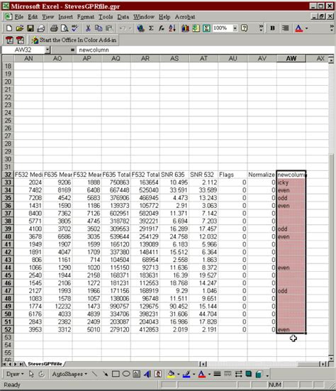 GenePix Adding Custom Columns To A GenePix Array List GAL File