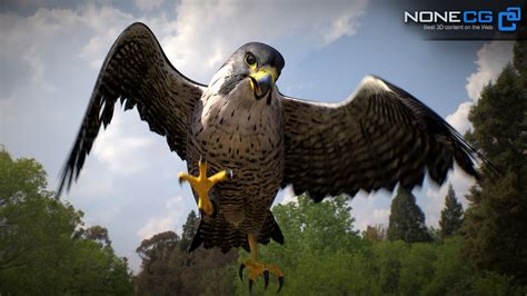 3D Animated Falcon » Download and buy 3D profestionnal models on NoneCG.com