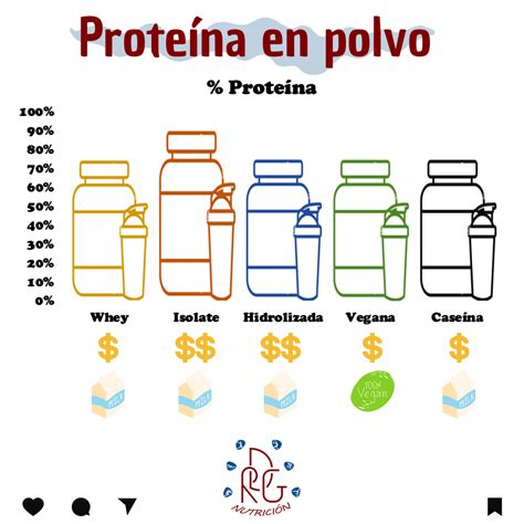 Tipos De Proteinas En Polvo Sinergia