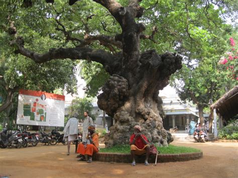 Map and History of the Ramana Ashram