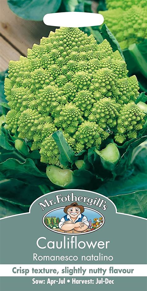 Mr Fothergills Pictorial Packet Vegetable Cauliflower Romanesco