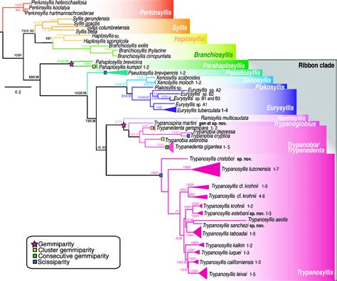 Phylogenetic Relationships And Evolution Of Reproductive Modes Within