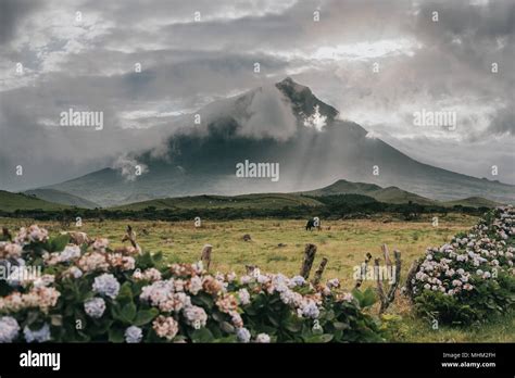 pico mountain on azores islands Stock Photo - Alamy