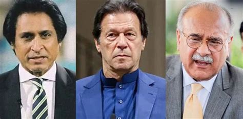 Imran Khan Lambasts Govt For Removing Ramiz Raja As PCB Chairman