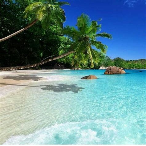 Instagram Post By Swimwear For Every Babe Feb At Am Utc