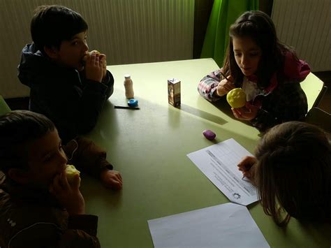 Centros Educativos Hacia La Sostenibilidad En El CEIP Varia Los