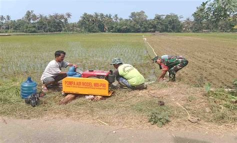 Atasi Kendala Petani Babinsa Nusawungu Bantu Petani Mengairi Sawah