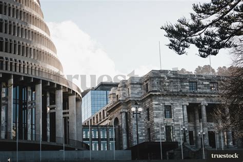 New Zealand Parliament building by Danny Rood - Truestock